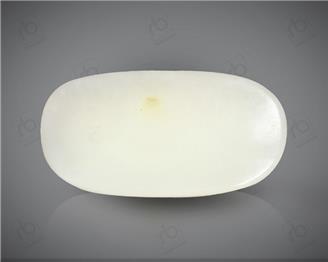 Natural White Coral ( Safed Moonga) Certified  7.54 CTS. ( 91523 )